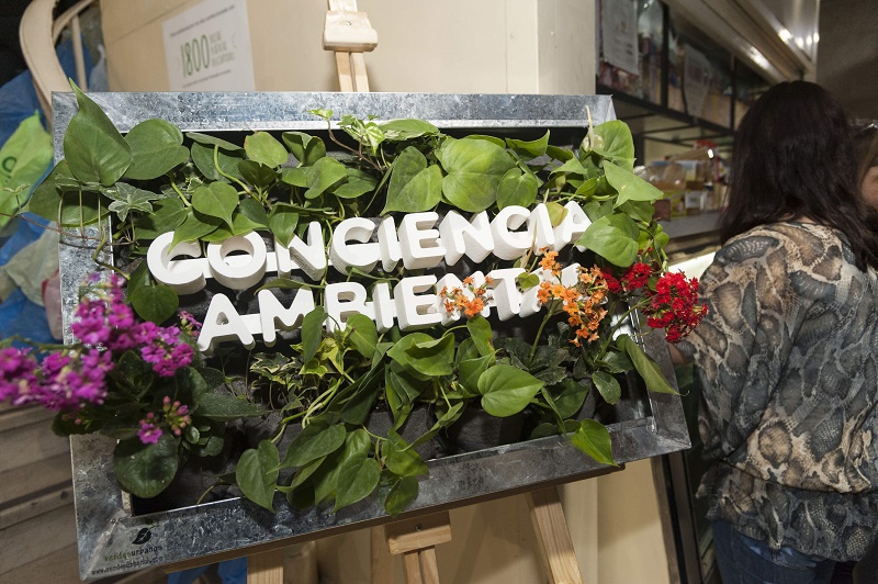 CONCIENCIA AMBIENTAL